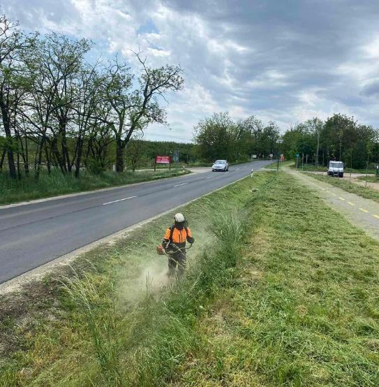 fűkaszálás Kismaros, fukaszalas kismaros